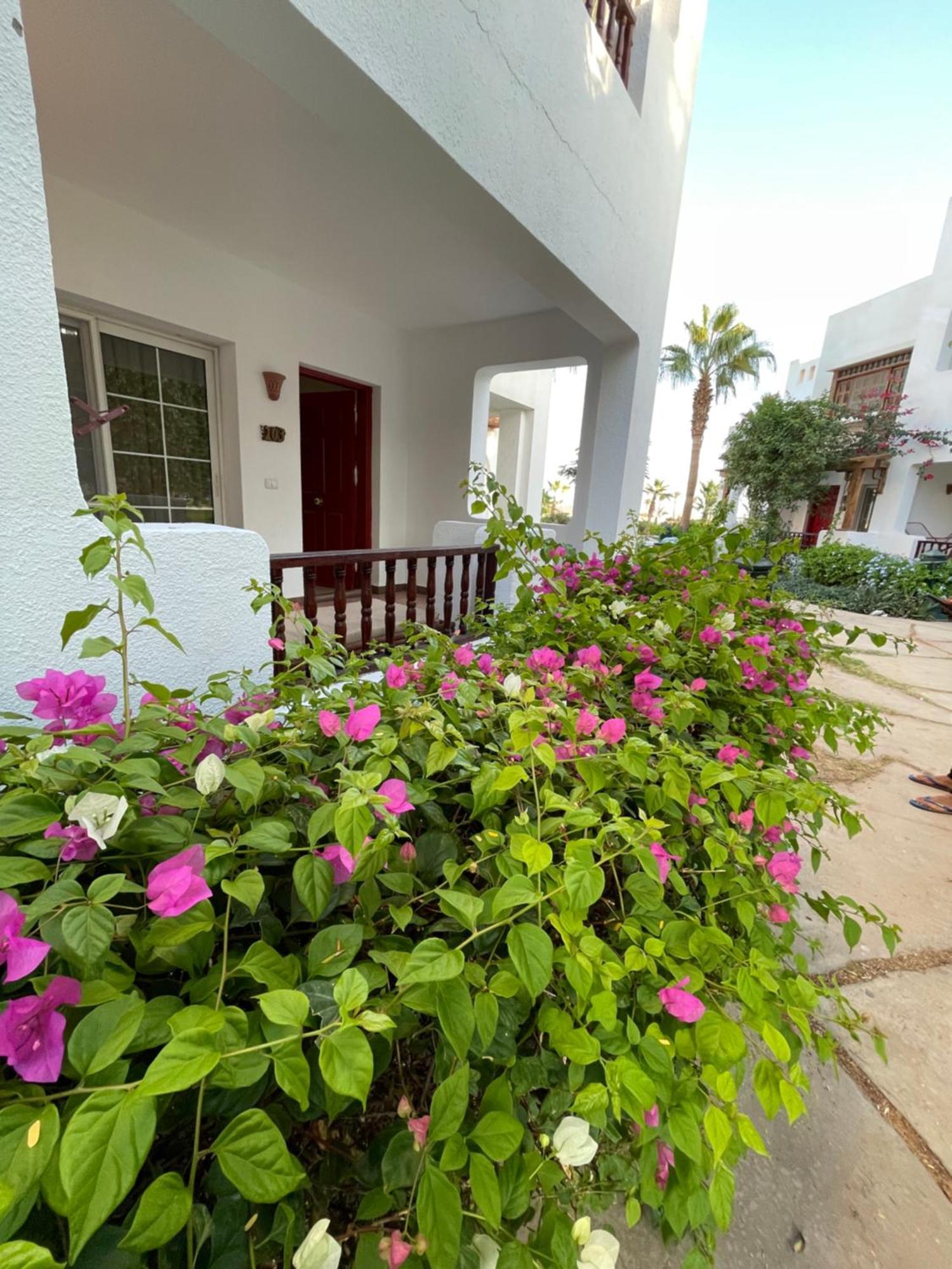 Delta Sharm Apartments With Free Internet Wi-Fi Exterior photo